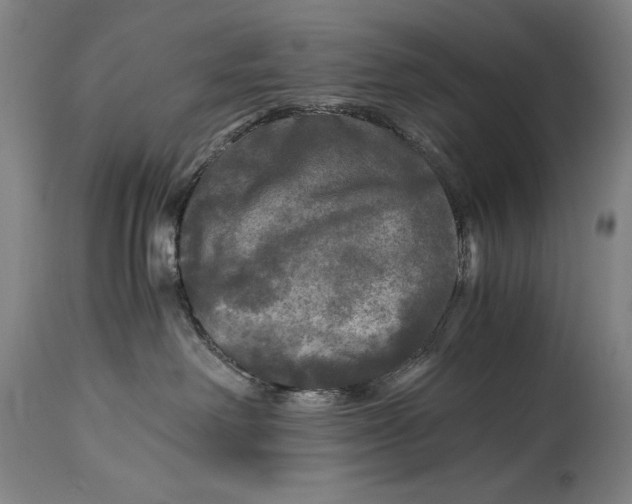X0000114390238200911061522