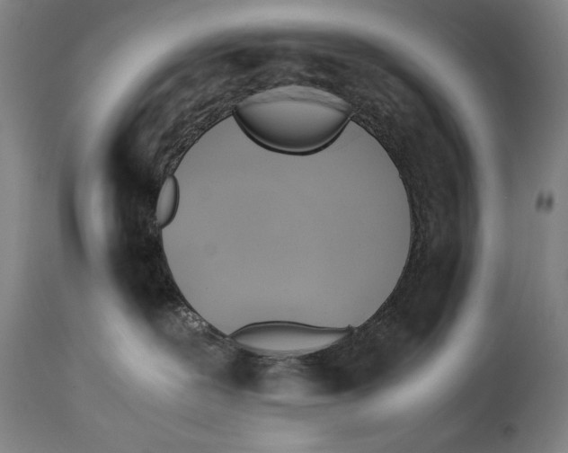 X0000114390239200911061522