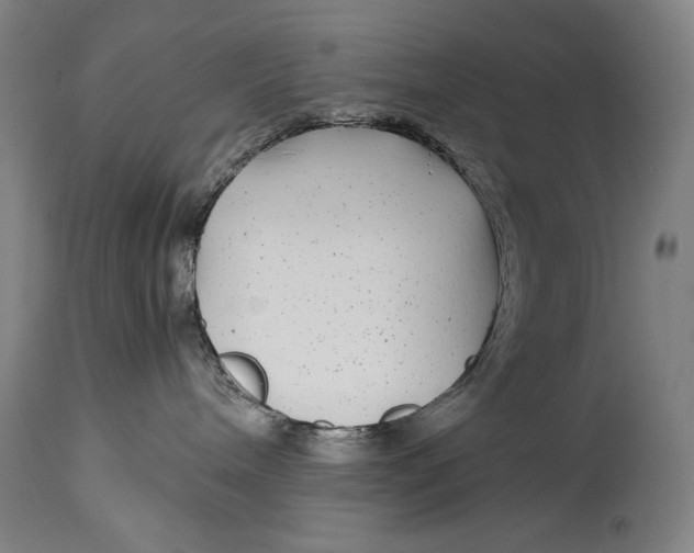 X0000114390240200911061522