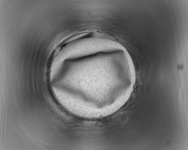 X0000114390242200911061521