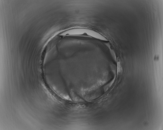 X0000114390243200911061521