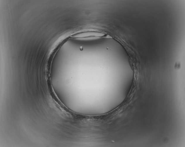 X0000114390244200911061521