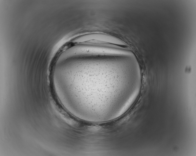 X0000114390246200911061521