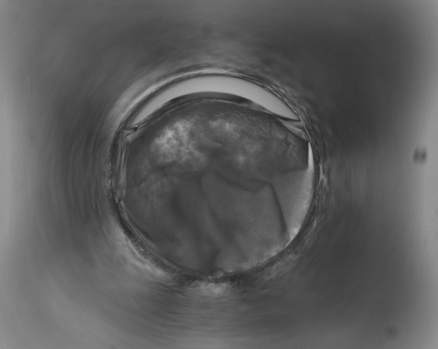 X0000114390247200911061521