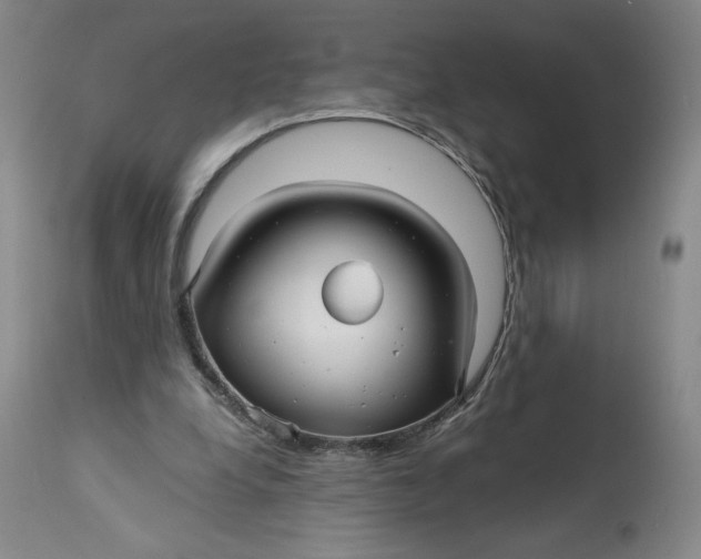 X0000114390248200911061521
