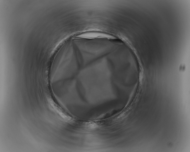 X0000114390249200911061521