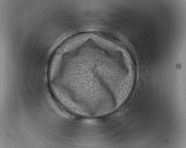 X0000114390250200911061521