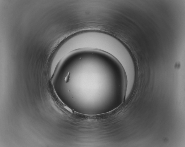X0000114390252200911061521