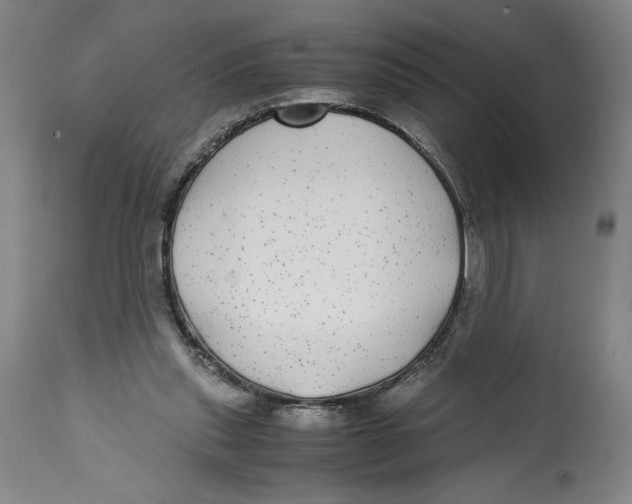 X0000114390253200911061521