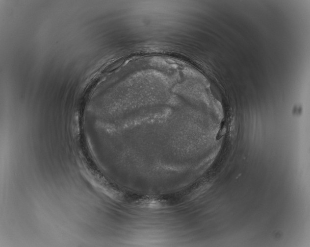 X0000114390254200911061521