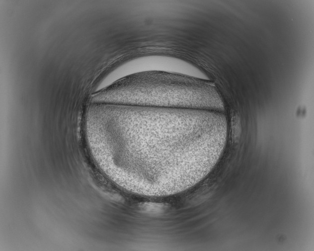 X0000114390255200911061521