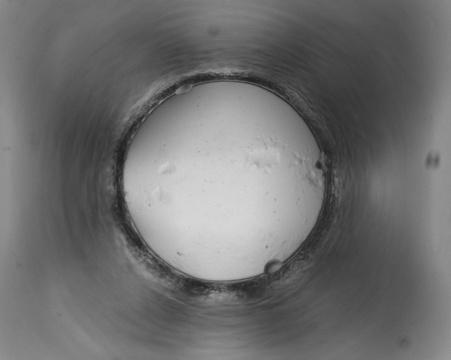 X0000114390256200911061521