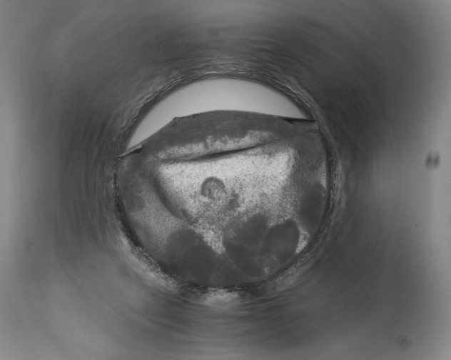 X0000114390257200911061521