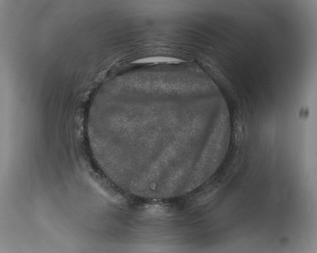 X0000114390259200911061522