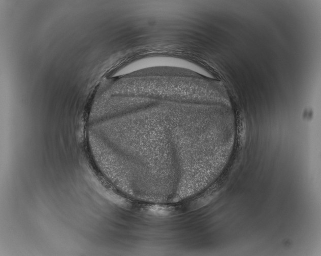 X0000114390261200911061522