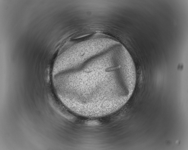 X0000114390262200911061522