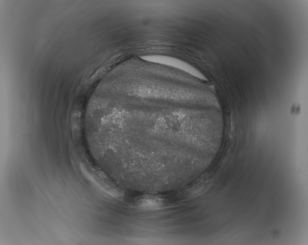 X0000114390263200911061522