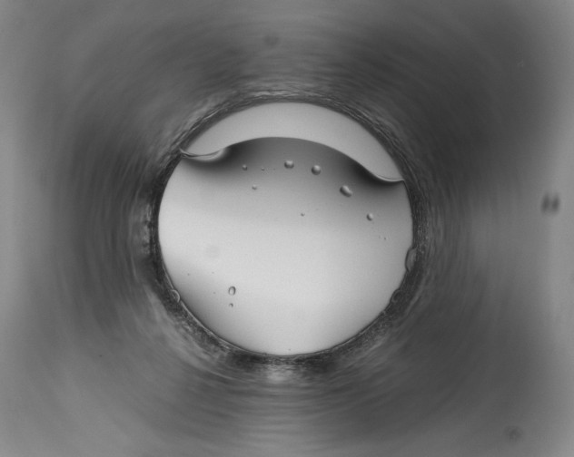 X0000114390264200911061522
