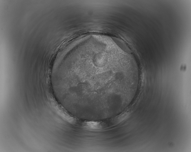 X0000114390265200911061522