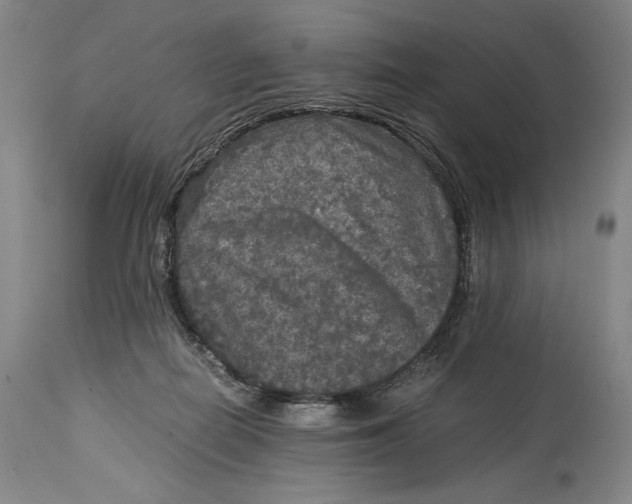 X0000114390266200911061522