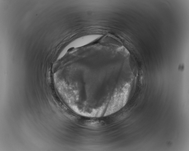 X0000114390267200911061522