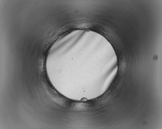 X0000114390268200911061522