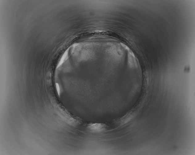 X0000114390269200911061522