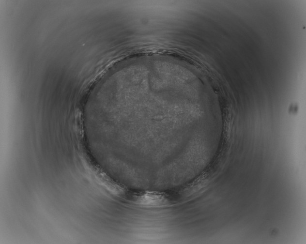 X0000114390270200911061522