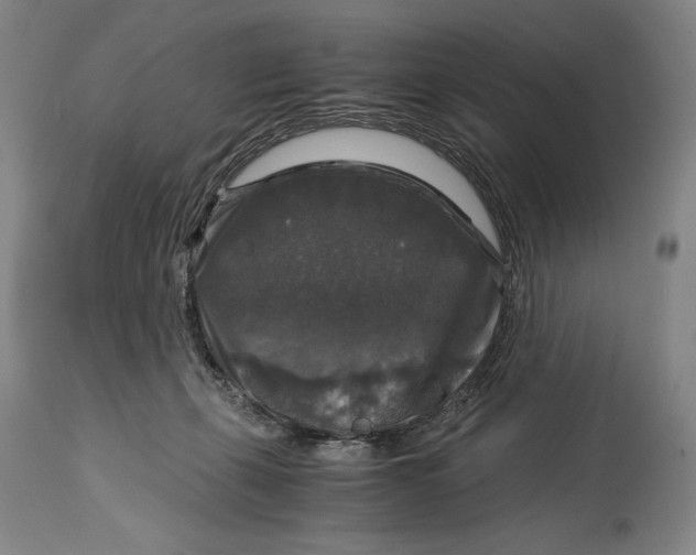 X0000114390271200911061522