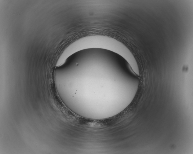 X0000114390272200911061522