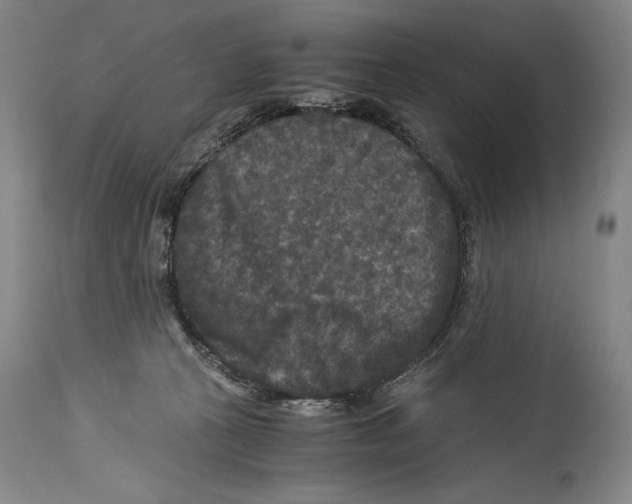 X0000114390273200911061522