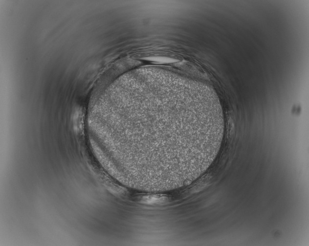 X0000114390274200911061522