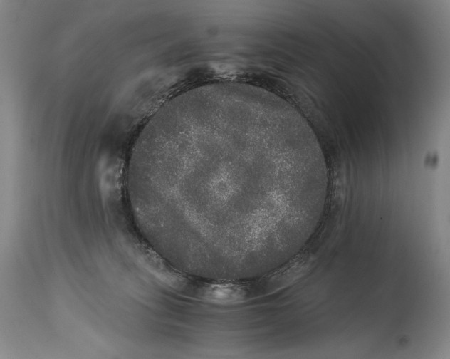 X0000114390275200911061522