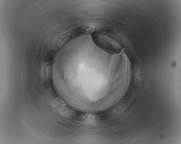 X0000114390276200911061522