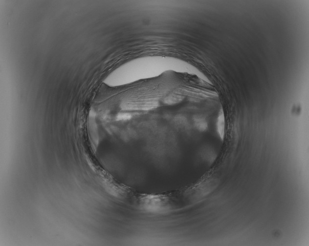 X0000114390277200911061522