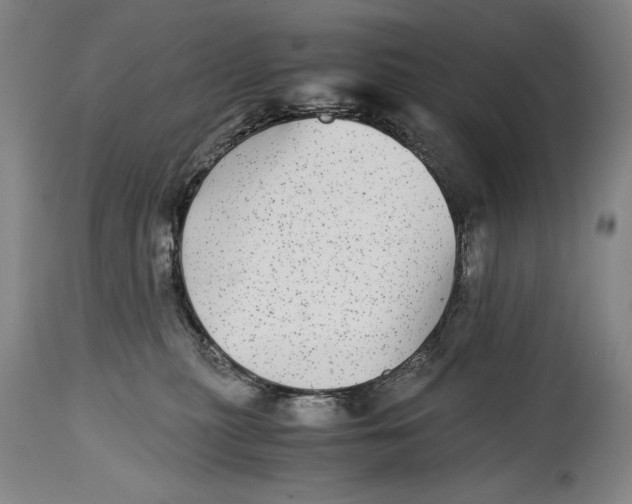 X0000114390279200911061522