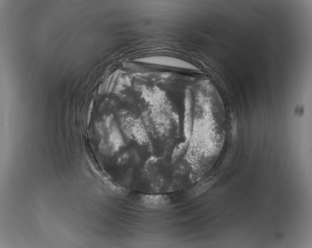 X0000114390281200911061522