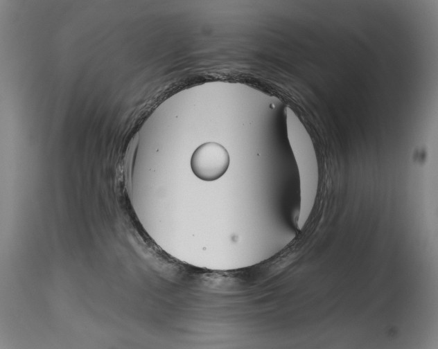 X0000114390284200911061522