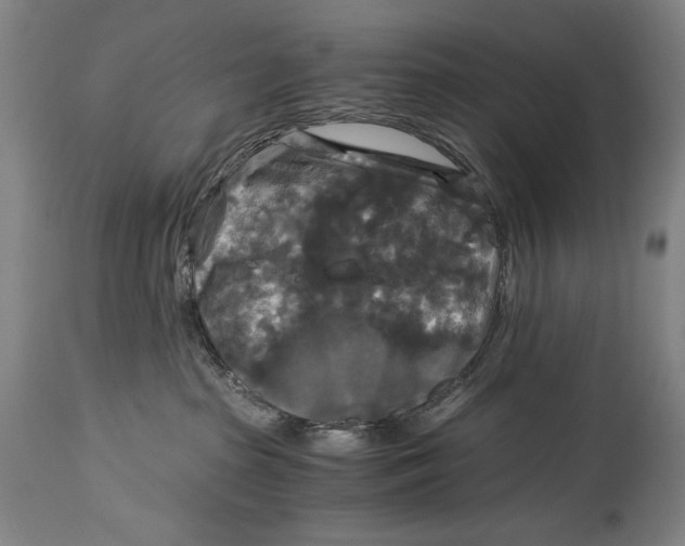 X0000114390285200911061522