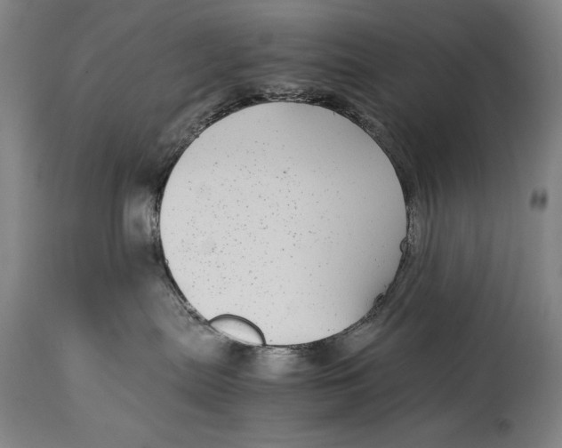 X0000114390287200911061522