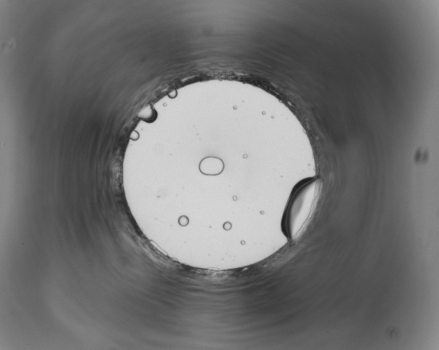 X0000114390288200911061522