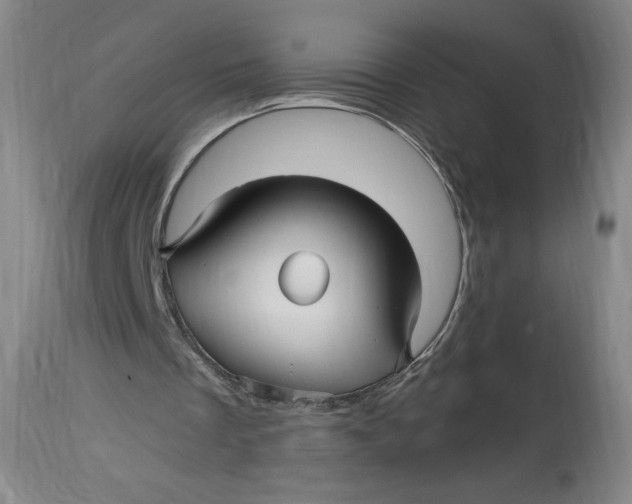 X0000114390289200911061521