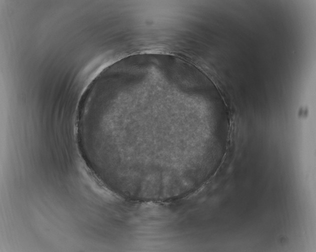 X0000114390290200911061521