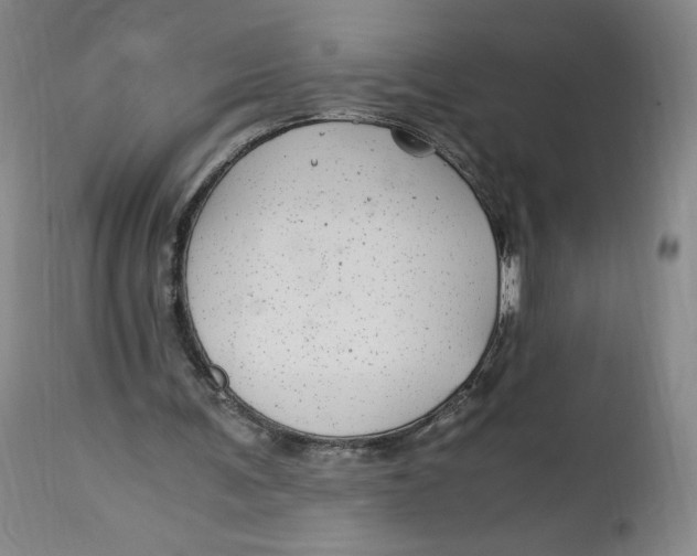 X0000114390291200911061521