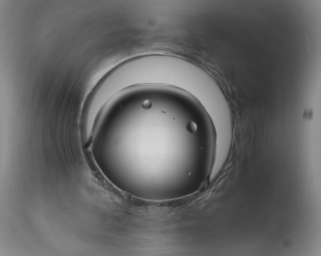 X0000114390292200911061521