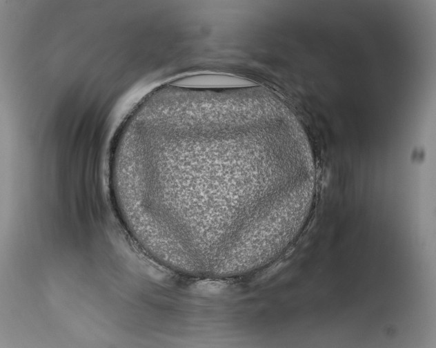 X0000114390294200911061521