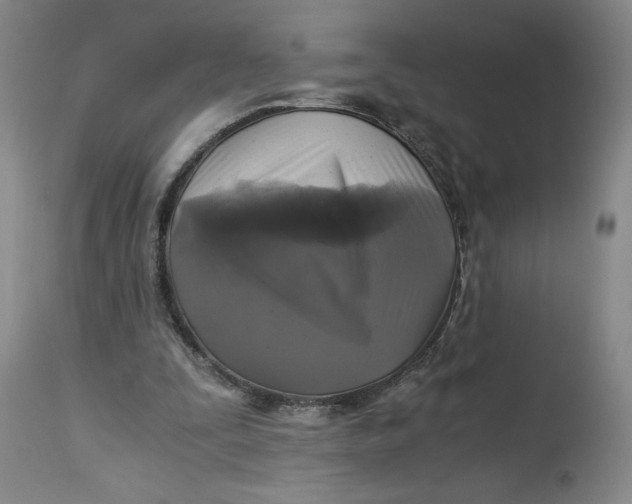 X0000114390295200911061521
