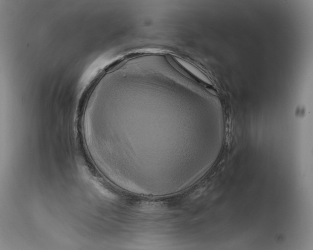 X0000114390296200911061521