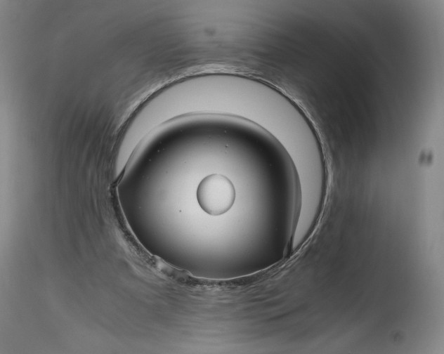 X0000114390297200911061521