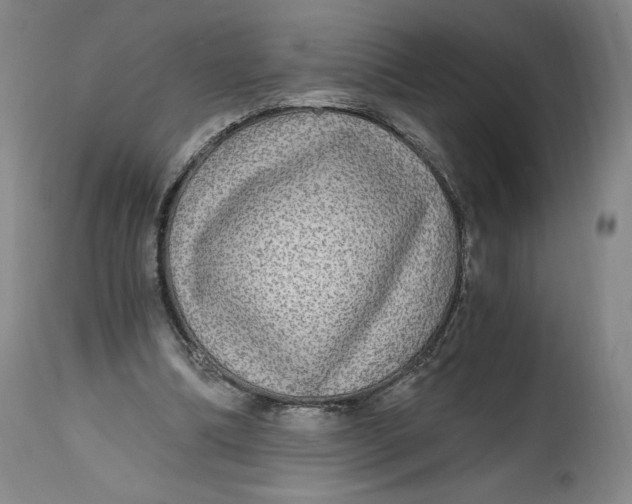 X0000114390298200911061521